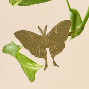 Plant Animal - Luna Moth