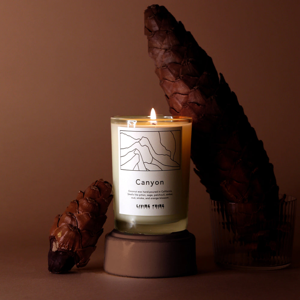 Living Thing Candle - Canyon