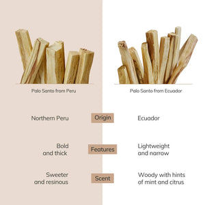 Palo Santo Sticks from Peru