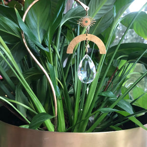 Plant Stick Suncatcher - Solara