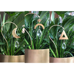 Plant Stick Suncatcher - Trinity
