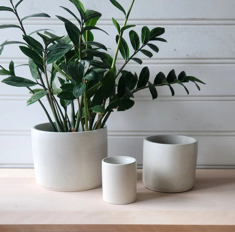 Cylinder Concrete Planter