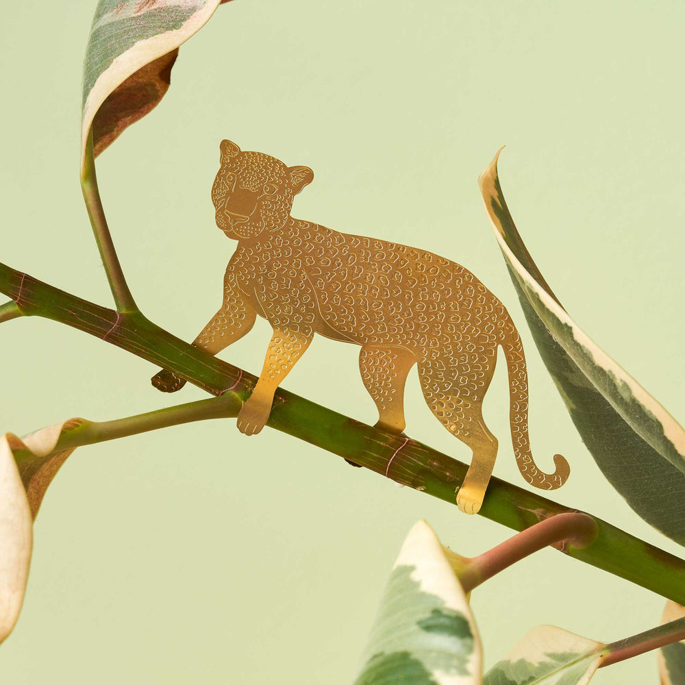 Plant Animal - Leopard Lg. Edition
