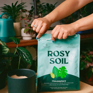 Rosy Soil Organic Potting Houseplant Soil Mix 4qt