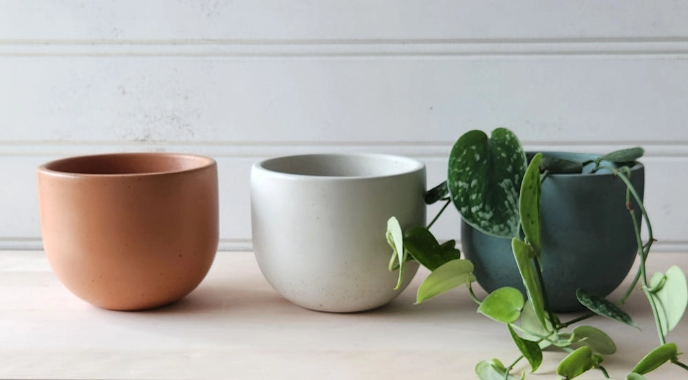 Tulip Concrete Planter - 5"
