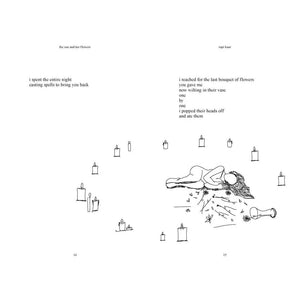 Sun and Her Flowers By Rupi Kaur