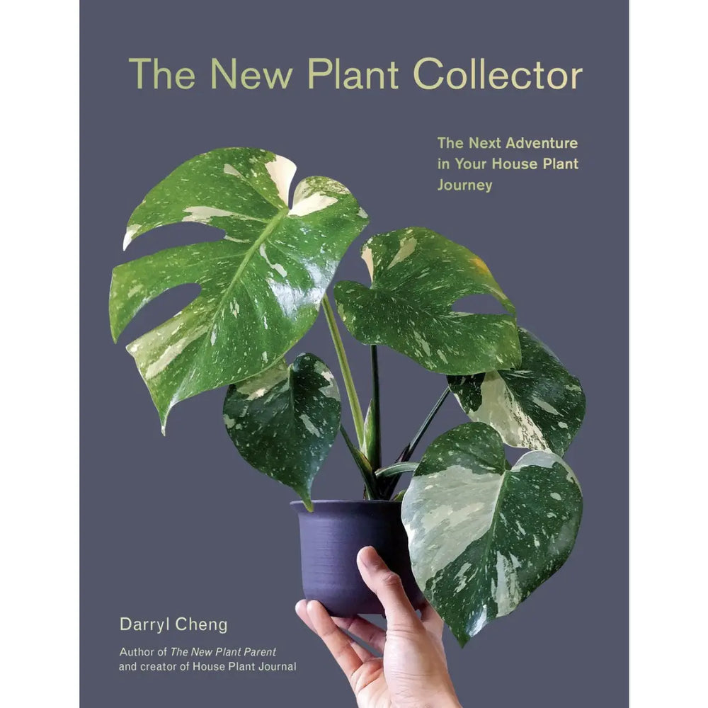 New Plant Collector by Darryl Cheng