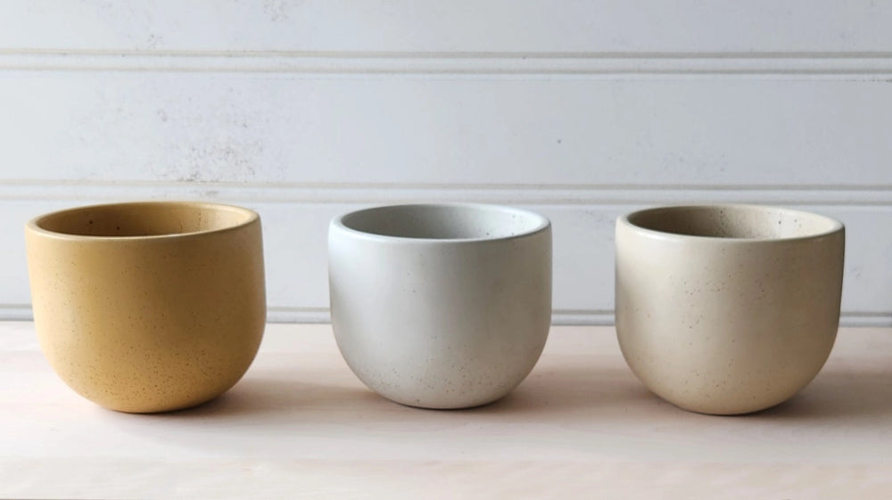 Tulip Concrete Planter - 5"