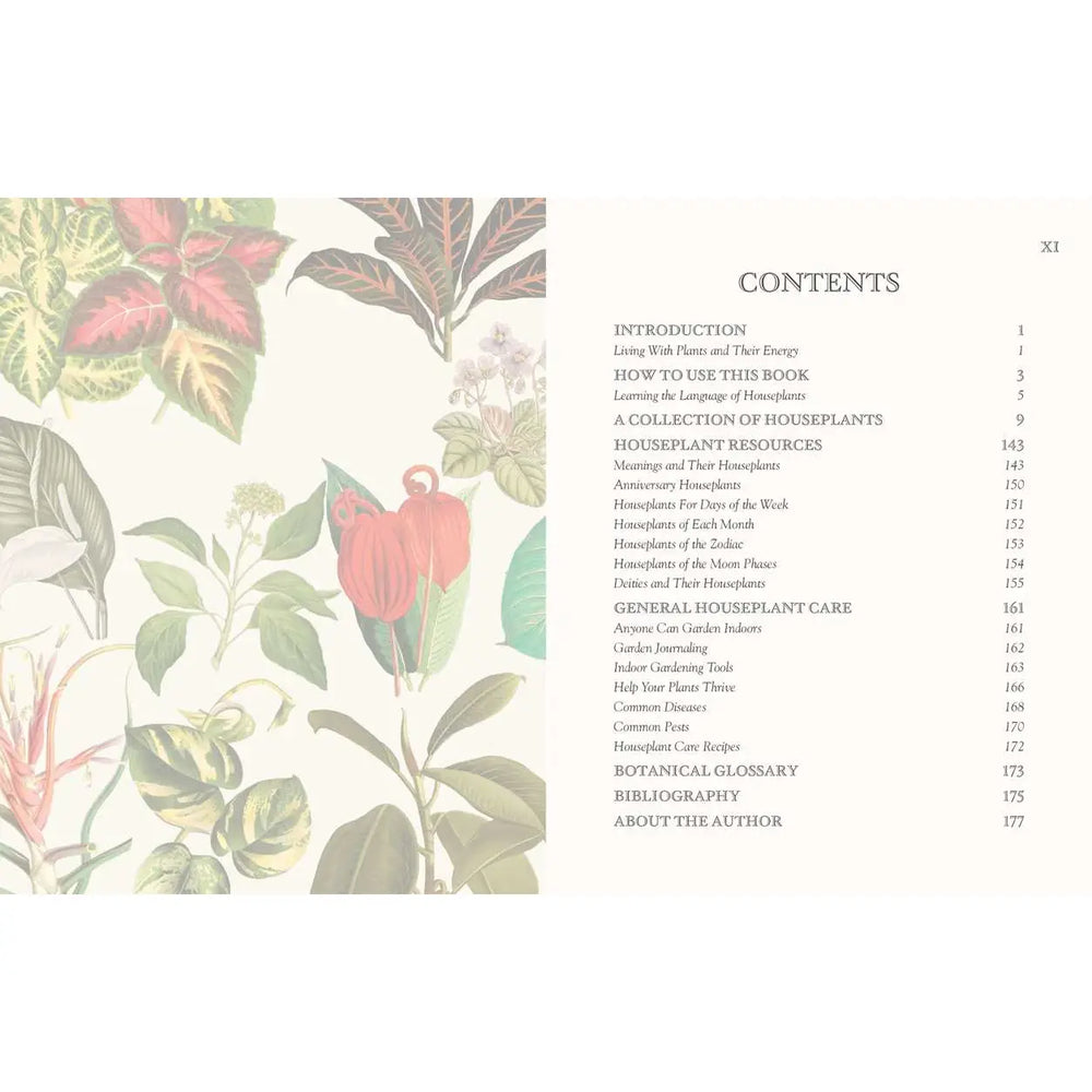 Language of Houseplants By Cheralyn Darcey