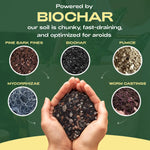 Rosy Soil - Aroid Mix 4qt