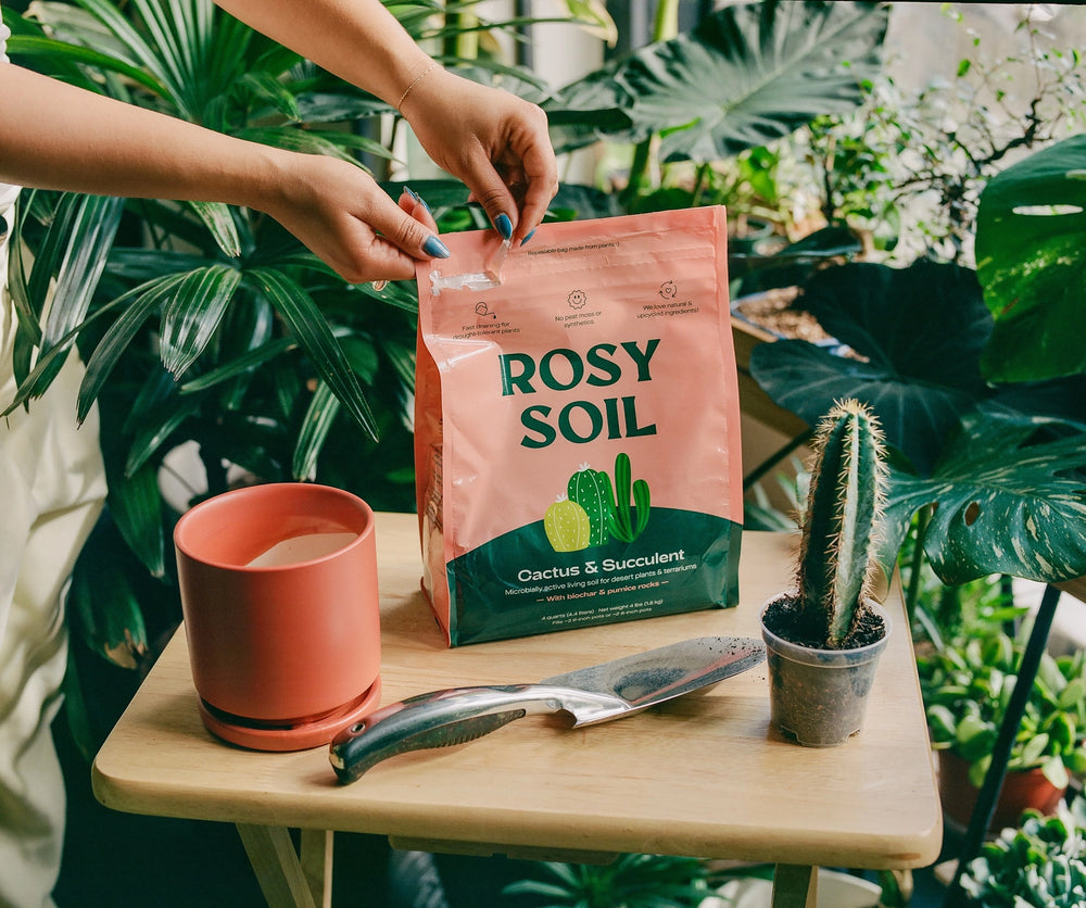 Rosy Soil Organic Cactus & Succulent Mix 4qt