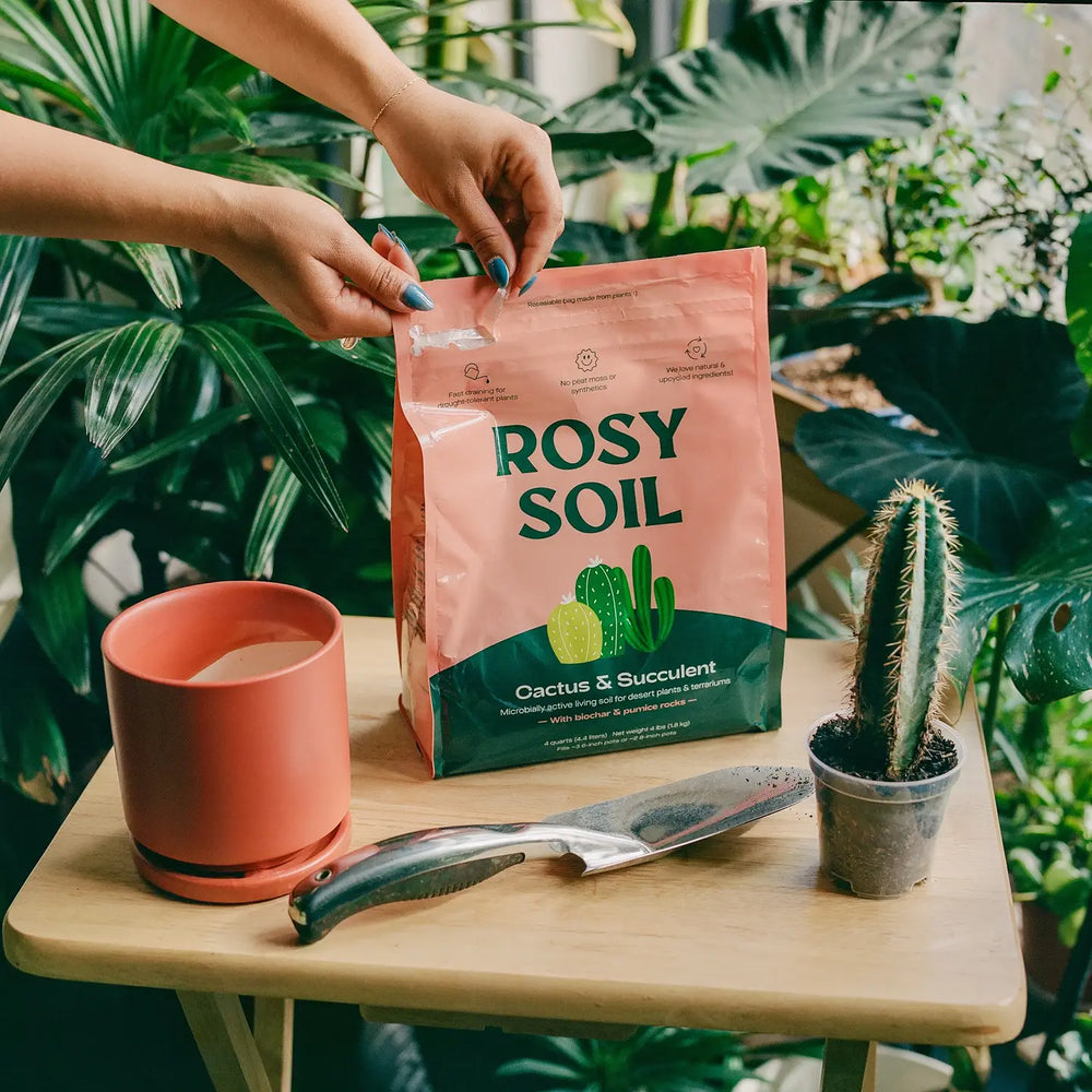 Rosy Soil Organic Cactus & Succulent Mix 4qt