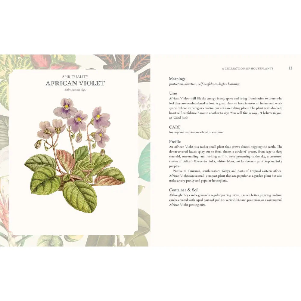 Language of Houseplants By Cheralyn Darcey