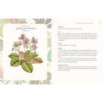Language of Houseplants By Cheralyn Darcey