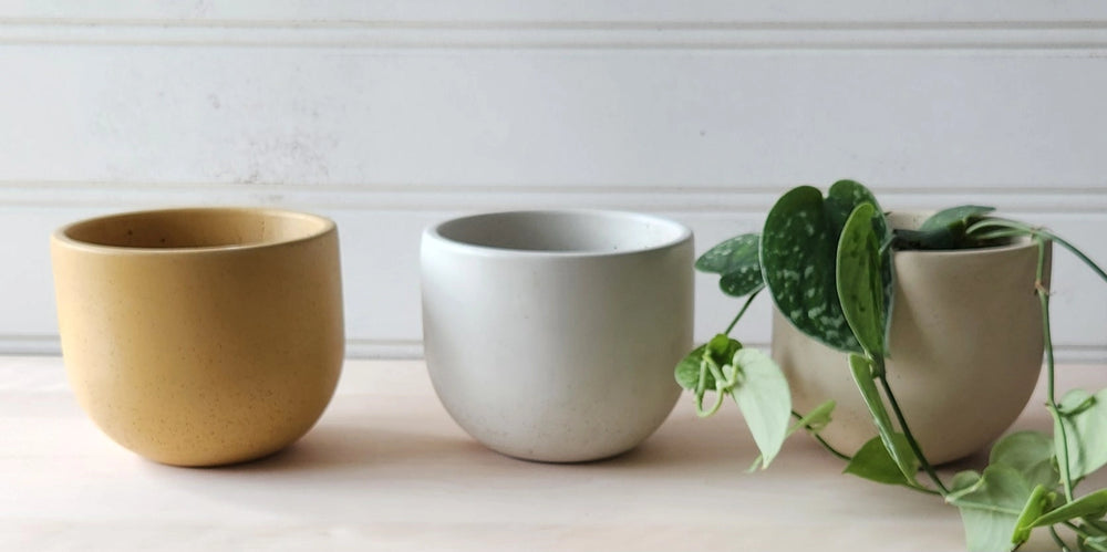 Tulip Concrete Planter - 5"