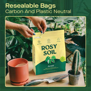 Rosy Soil - Aroid Mix 4qt