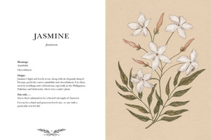 Floriography By Jessica Roux