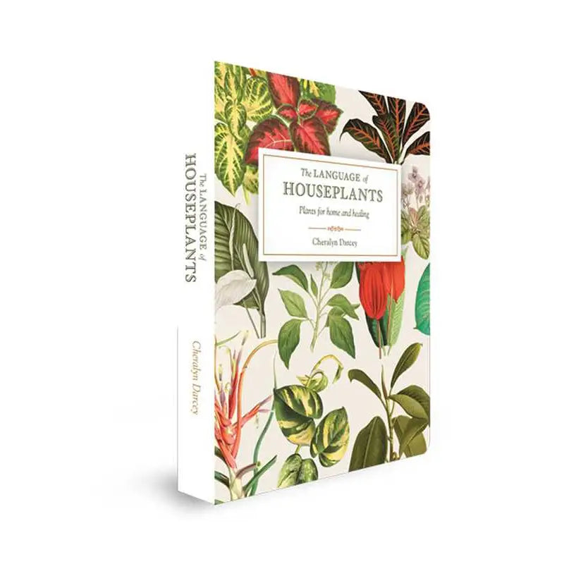 Language of Houseplants By Cheralyn Darcey