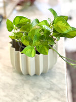 Wrap Planter Small