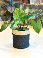 Charcoal Jute Basket w/ Cream