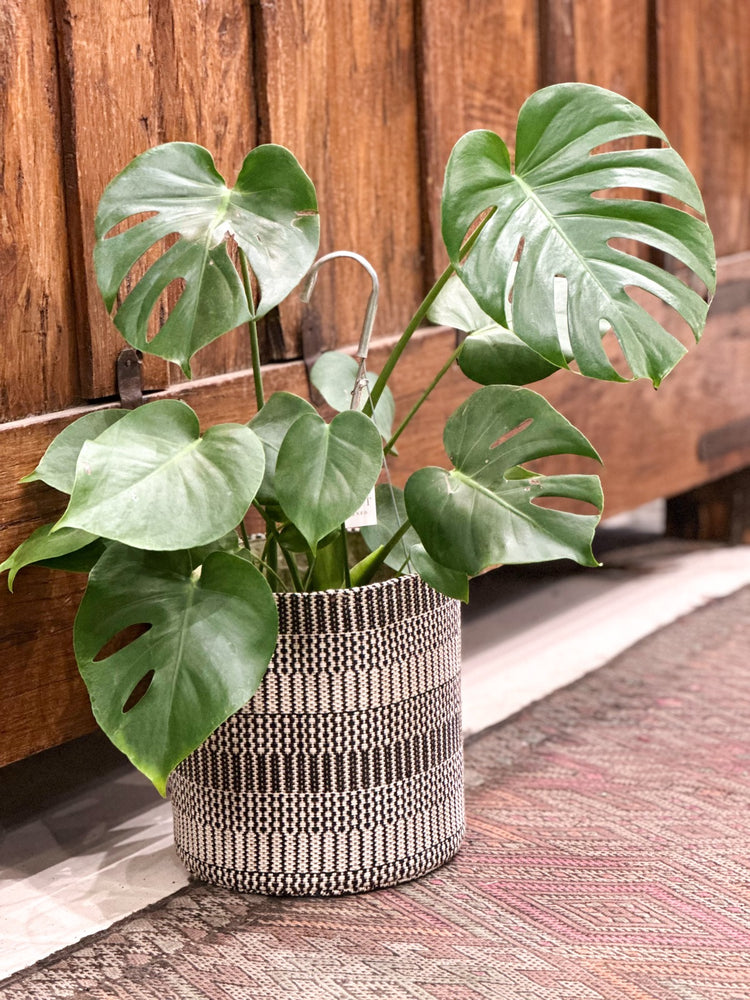 Small Handwoven Jute Basket in Kalied Stripe