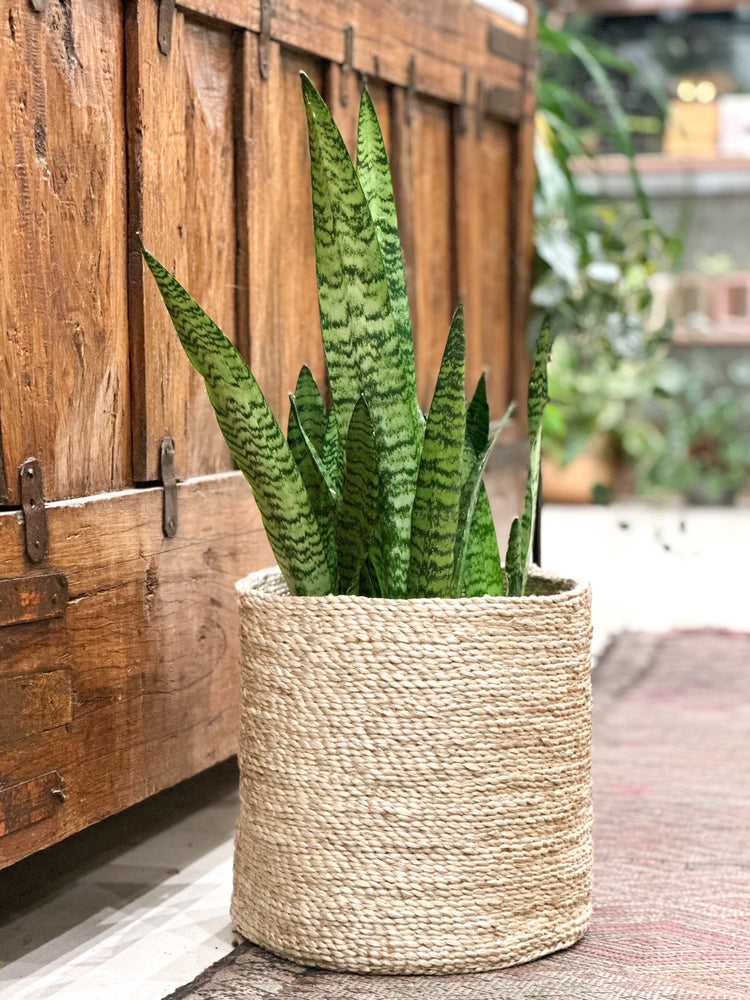 Medium Handwoven Jute Basket