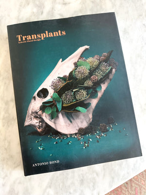 Transplants: Eclectic Floral Designs