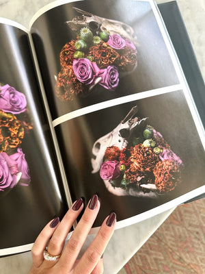 Transplants: Eclectic Floral Designs
