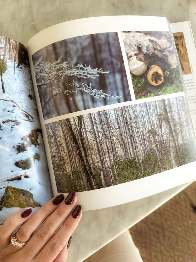 Nature's Writers: Mentored by the Land