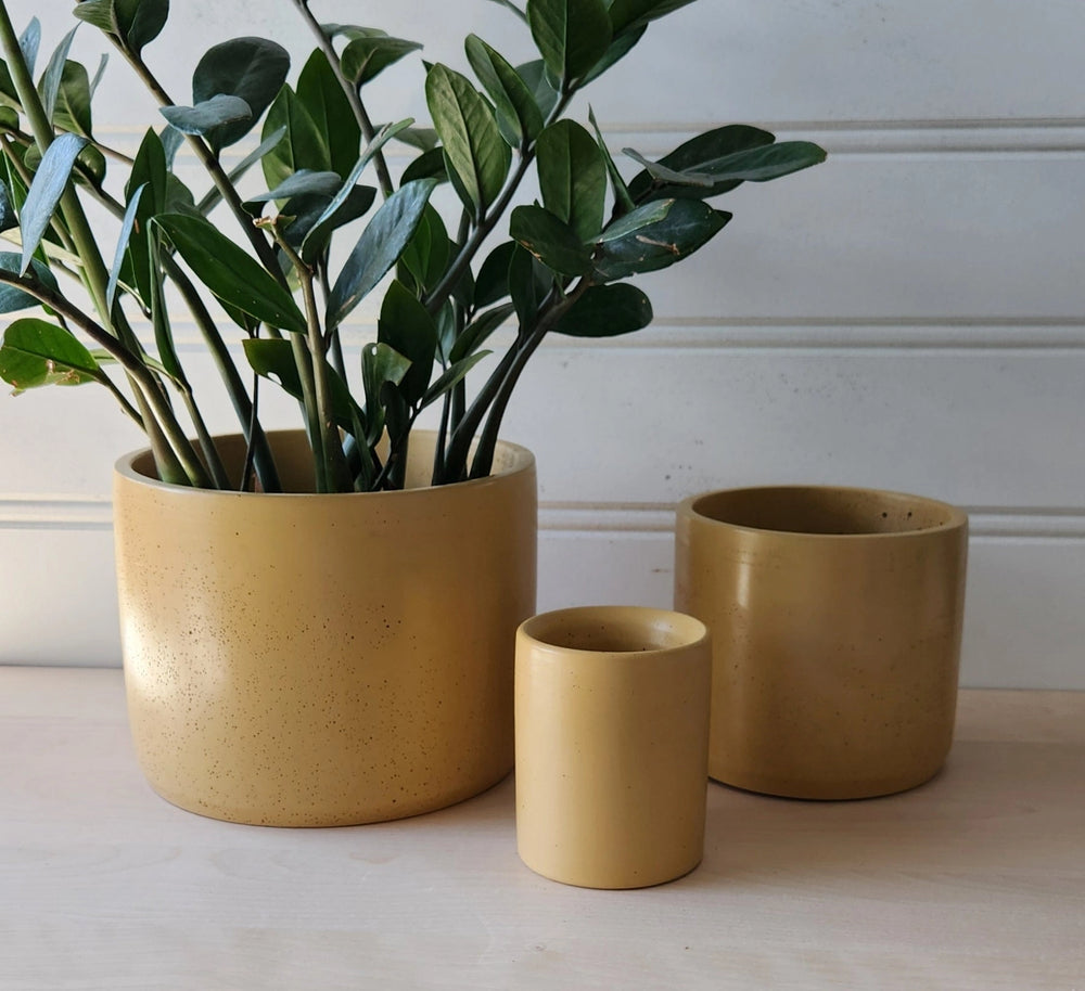 large mustard indoor plant pot Cylinder Planter 5" Mustard – Root Adorned