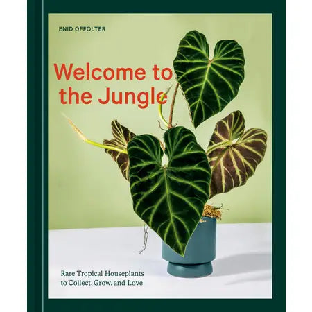 Welcome to the Jungle by Enid Offolter