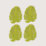 Merino Wool Monstera Coaster Set - Pistachio
