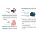 Crystal Basics By Nicholas Pearson