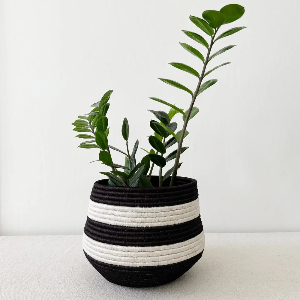 Large Honey Pot Basket - Mayaga