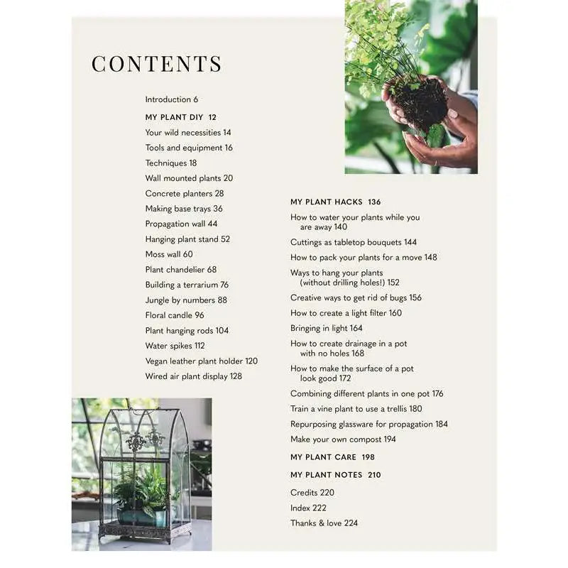 Wild Creations By Hilton Carter