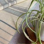 Equinoccio Throw in Mint