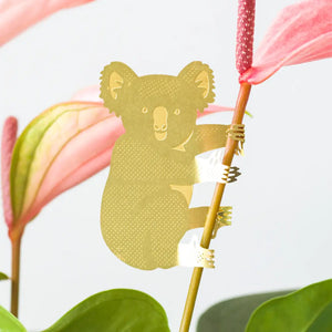 
                
                    Load image into Gallery viewer, Plant Animal - Koala Bear
                
            