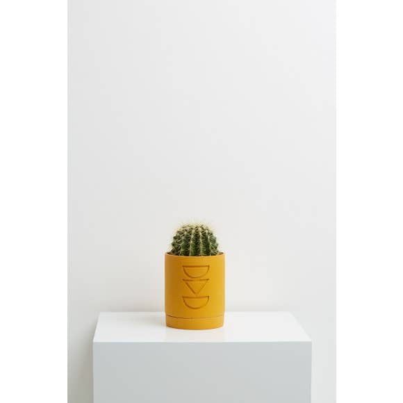 
                
                    Load image into Gallery viewer, Capra Designs Golden Etch Planter
                
            