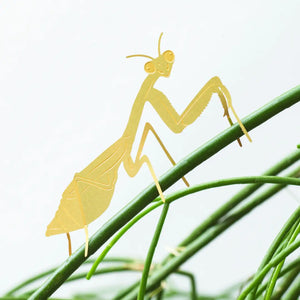 
                
                    Load image into Gallery viewer, Plant Animal - Praying Mantis
                
            