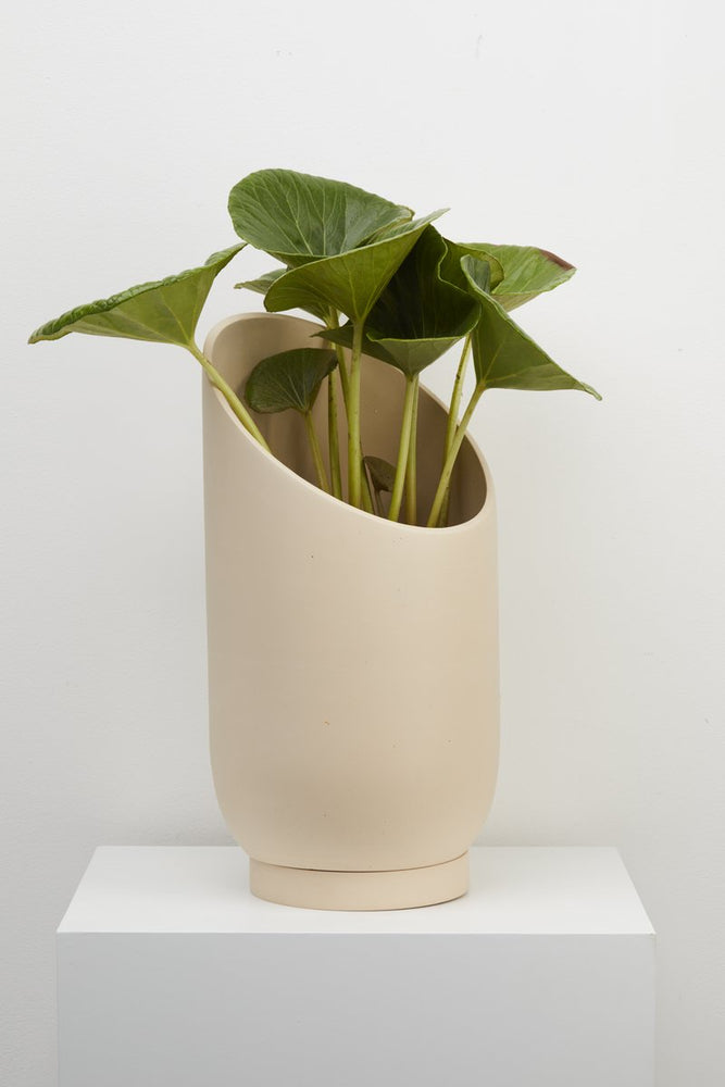 
                
                    Load image into Gallery viewer, Capra Designs Large Summit Planter
                
            
