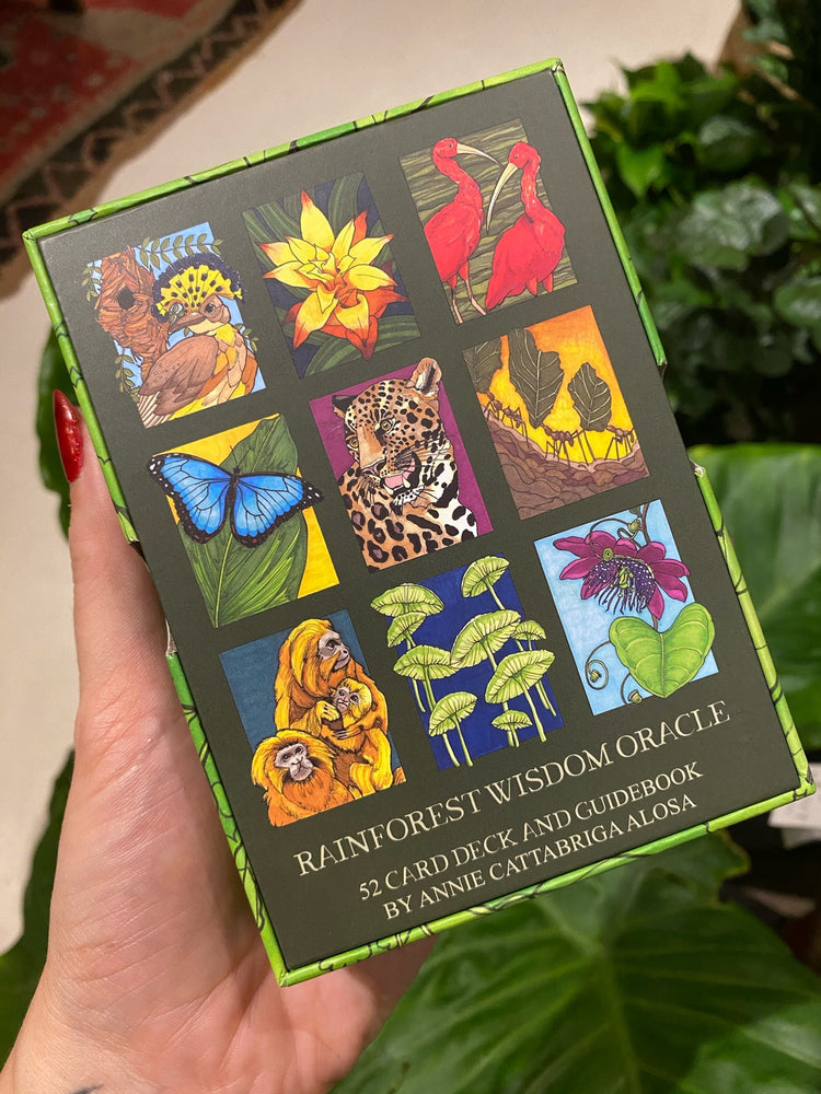 Rainforest Wisdom Oracle Deck
