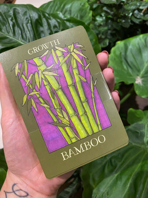 Rainforest Wisdom Oracle Deck