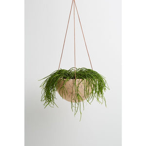 
                
                    Load image into Gallery viewer, Capra Designs Large Dome Hanging Planter
                
            