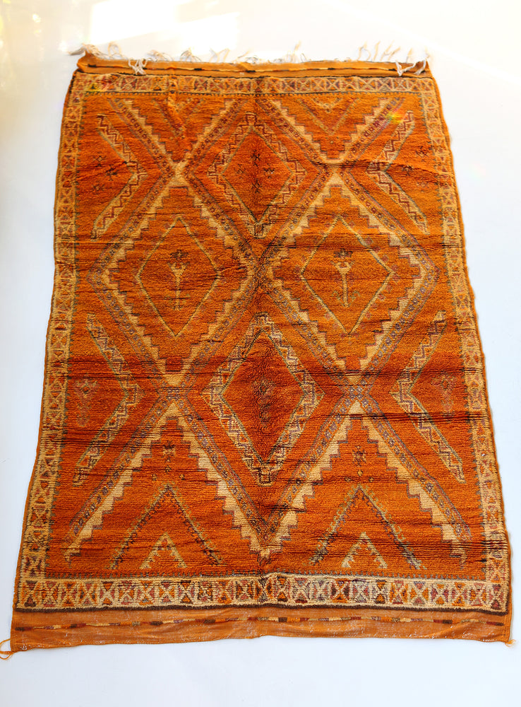 Rugs – Root Adorned