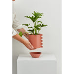 Capra Zip Planter-Dusty Rose