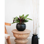 Hammered Bowl - Black/Copper