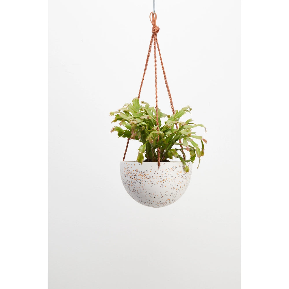 
                
                    Load image into Gallery viewer, Capra Designs Large Dome Hanging Planter
                
            