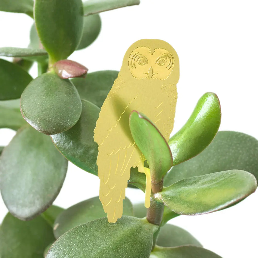 
                
                    Load image into Gallery viewer, Plant Animal - Owl
                
            